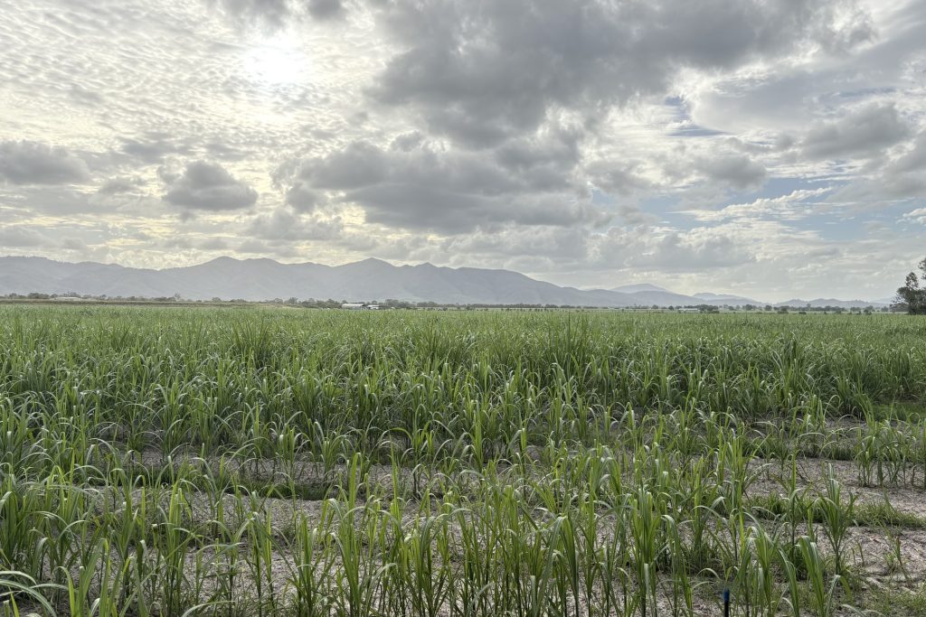 Lot 2 Oakenden-Sarina Road, Oakenden, QLD 4741 AUS